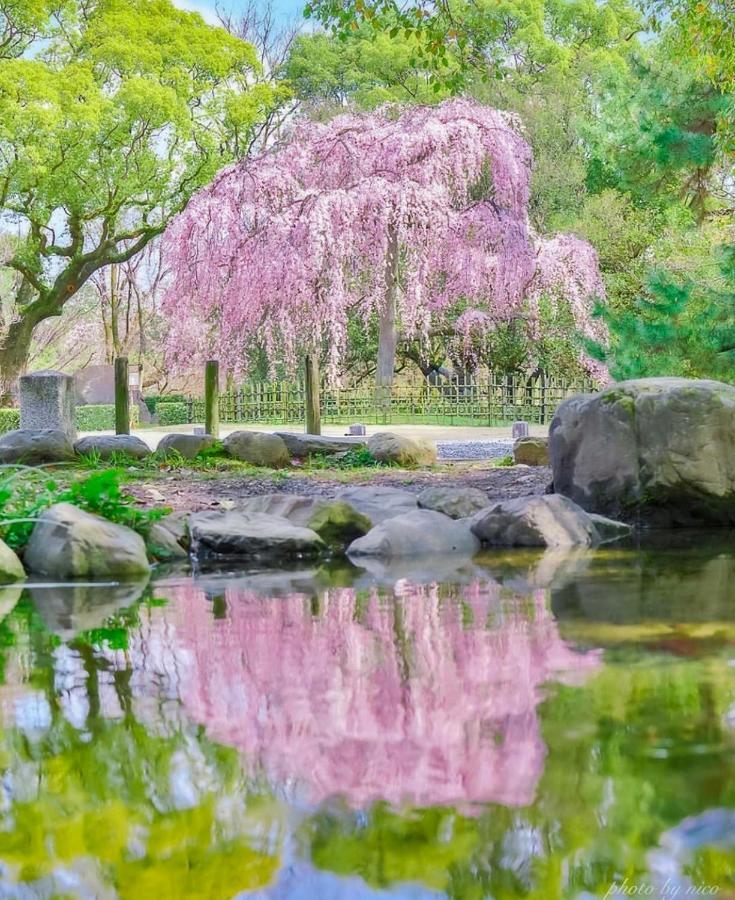 Tsurui Goshonishi 鶴居御所西 Villa Kyoto Ngoại thất bức ảnh